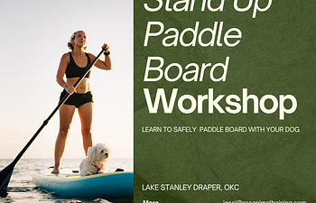 Book SUP Workshop