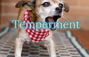 Book Temperment Testing