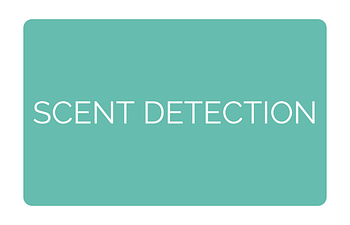 Book Intro into Scent Detection
