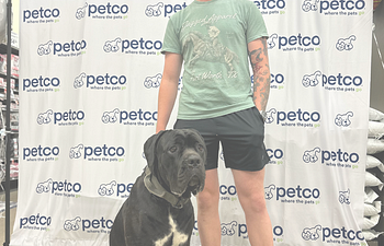 Book Transfer Session