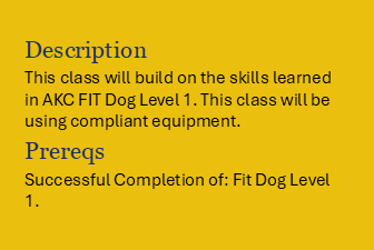 Book Fit Dog level 2