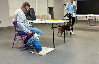 Book Life Skills: Dinner Party