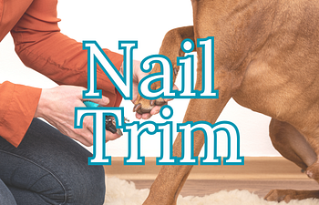 Book (A) Nail Trim
