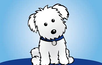 Book Puppy Kindergarten - Santa Maria Training Center