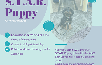 Book AKC STAR Puppy Group Class