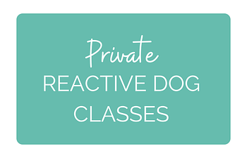Book Reactive Dog Private Classes