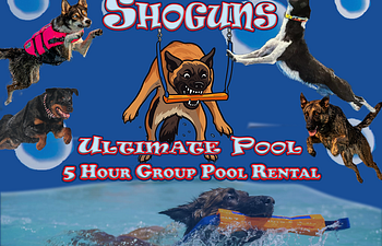 Book 5 Hour Pool Party Rental