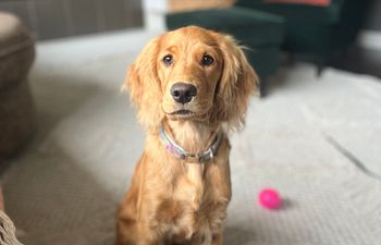 Book Private Coaching: Life Skills Level 1 (In-Home)