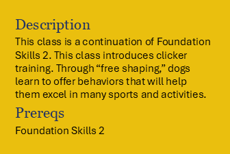 Book Foundation Skills III