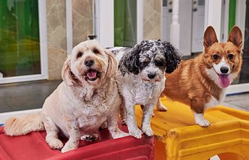 Book Founding Members Waitlist 