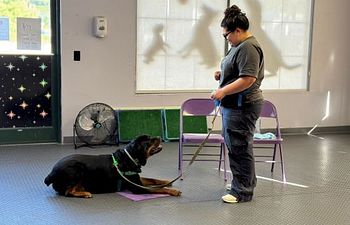 Book Marvelous Manners: Ready, Sit, Go!