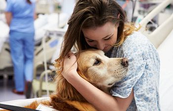 Book Therapy Dog Skills