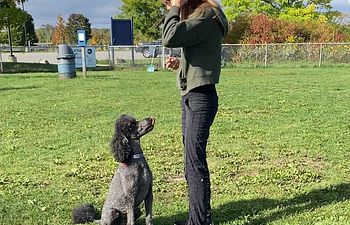 Book Event BAT Session Add-On