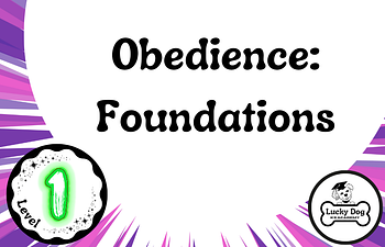 Book Level 1 | Obedience Foundations