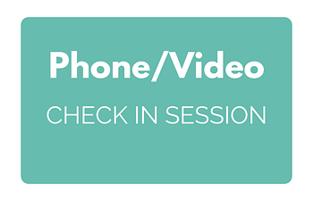 Book Phone/Video Check In Session