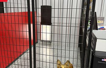 Book Full Throttle Haven  - Outside Access (1 Dog) - 5X8