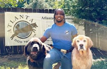 Book Basic Obedience With DJ (Sundays at 2:30 pm)