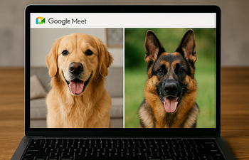 Book Virtual- Canine Behaviour Consult with Assessment (2hr) 