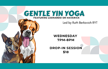 Book Drop In - Yin Yoga with Ruth - Featuring Leonardo or Maverick!