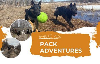 Book Pack Adventures 