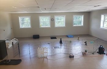 Book  ONLINE Temperament Evaluation: Behaviour Checklist and GDBart Testing  