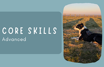 Book Core Skills: 3 - Advanced