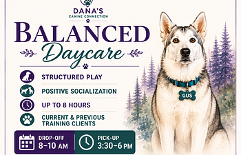 Book Balanced Daycare