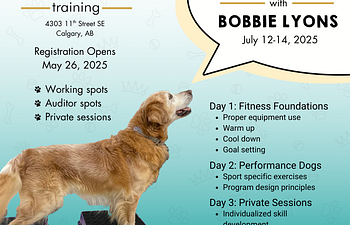Book Bobbi Lyons Fitness Workshop (2 days) Auditor