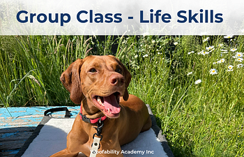 Book Pawsitive Connections -  Life Skills 5 week Class 