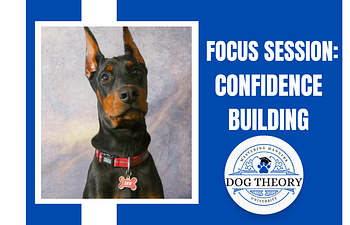 Book Focus Session: Confidence Building