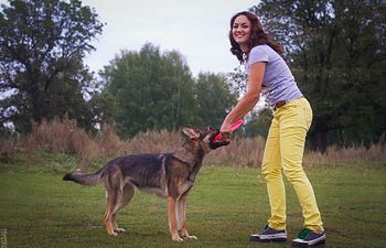 Book 1h - Private training session (obedience or disc) AT YOUR HOUSE