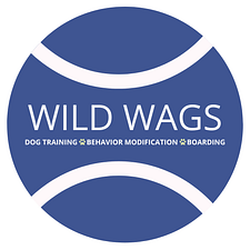 Wild Wags Dog Training