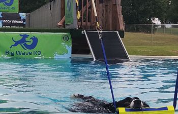 Book Hydro Dash Lesson