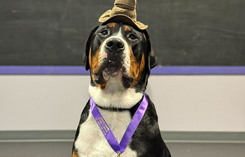 Book AKC CGC Private Testing Event