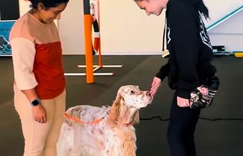 Book On Leash Meet and Greet