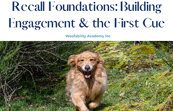 Book Recall: Building Engagement & the First Cue