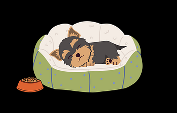 Book Overnight Boarding - Small Kennel (under 20lbs)