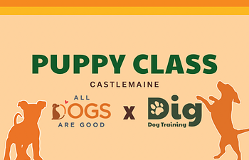 Book Puppy Class - Dig Dog x All Dogs Are Good