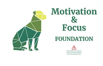 Book Motivation & Focus (Foundation)
