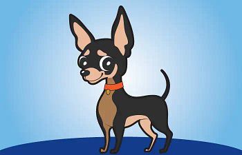 Book Basic Manners for Small Dogs - Santa Barbara Campus