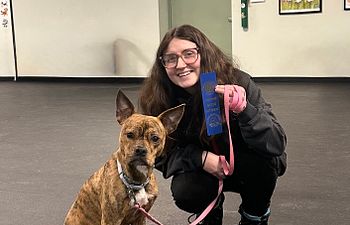 Book Canine Good Citizen testing