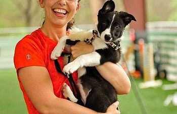 Book Melanie Miller - Sequences for Young Dogs and Green teams - Working Spot