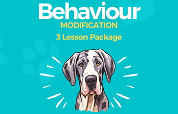 Book 3 Lesson Behaviour Package with Melissa