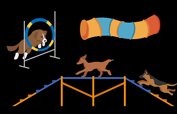 Book Agility Group Class 1
