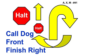 Book Rally | Level 2-3 | Beginner - Intermediate