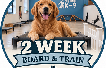 Book 2 Week Board & Train