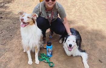 Book Obedience (Manners & Life Skills): Novice/Puppy  & AKC Puppy STAR with Katie