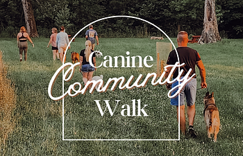 Book Canine Community Pack Walk