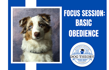 Book Focus Session: Basic Obedience