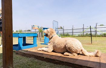 Book Fit and Fetch Fitness Class
